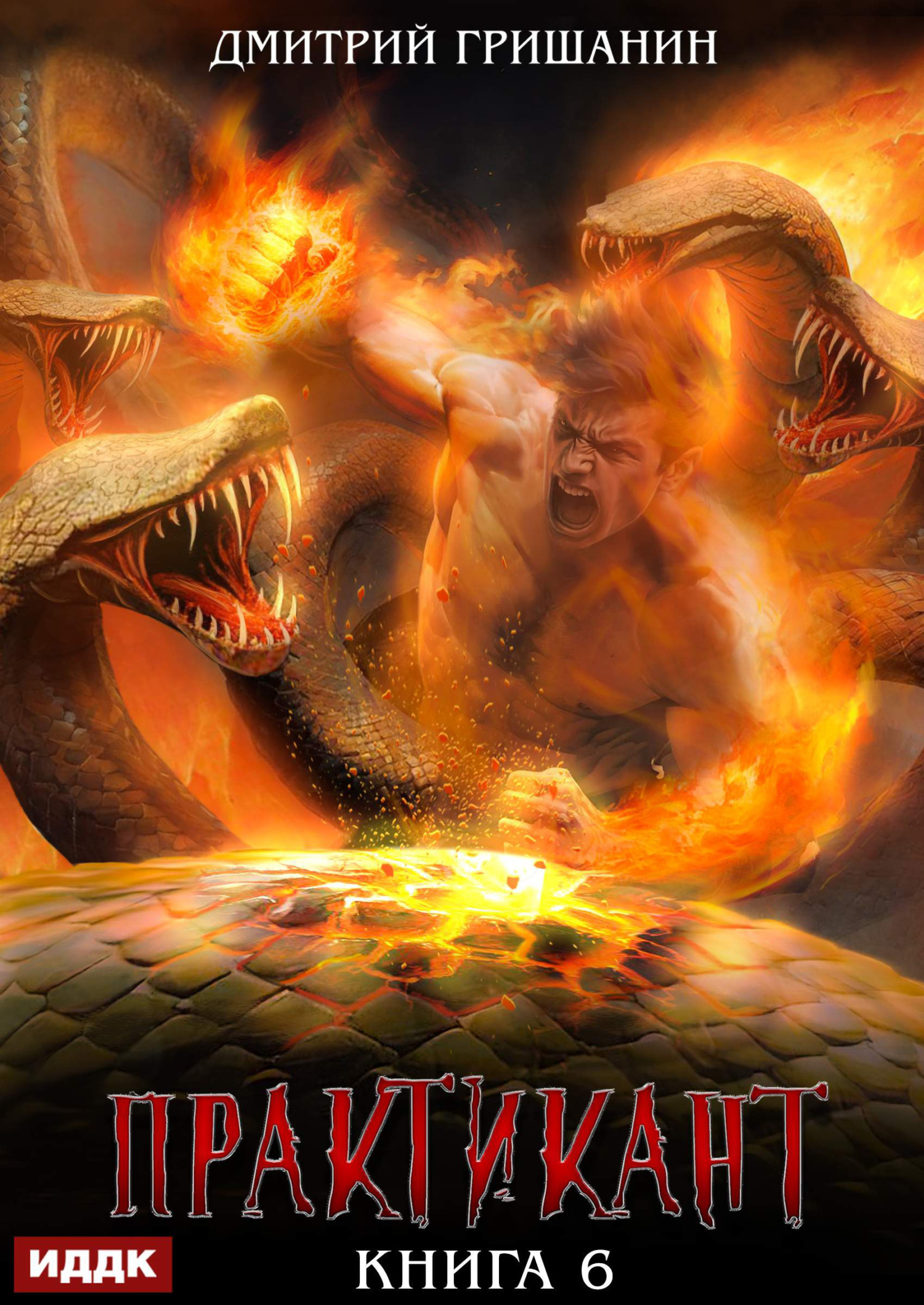 Практикант. Книга 6